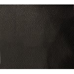 Champion Outdoor/indoor, color Black Pebble Grains Fabric 54